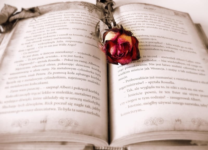 Vintage Book Page Art
